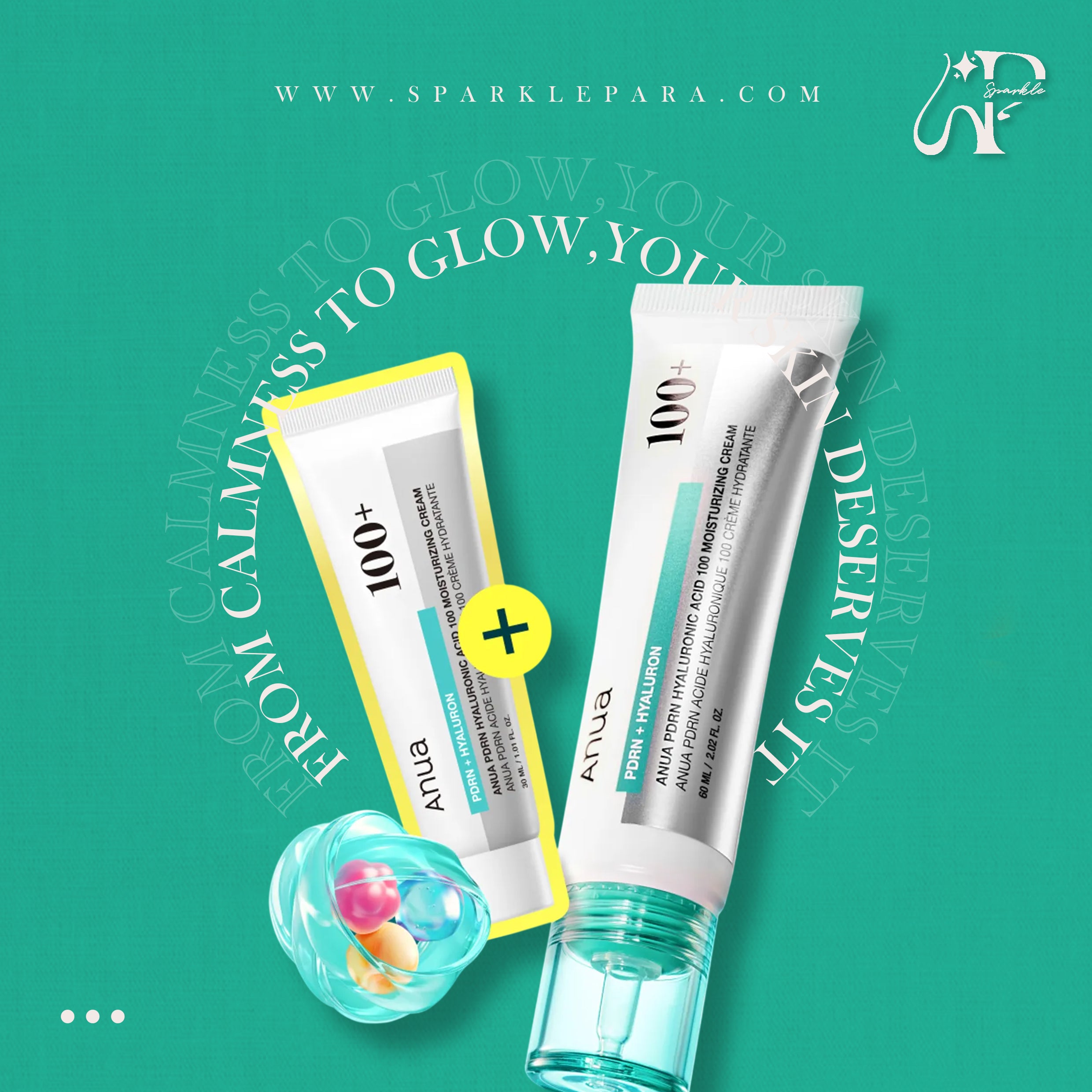 Anua PDRN Hyaluronic Acid 100 Moisturizing Cream (60ml+30ml) Set