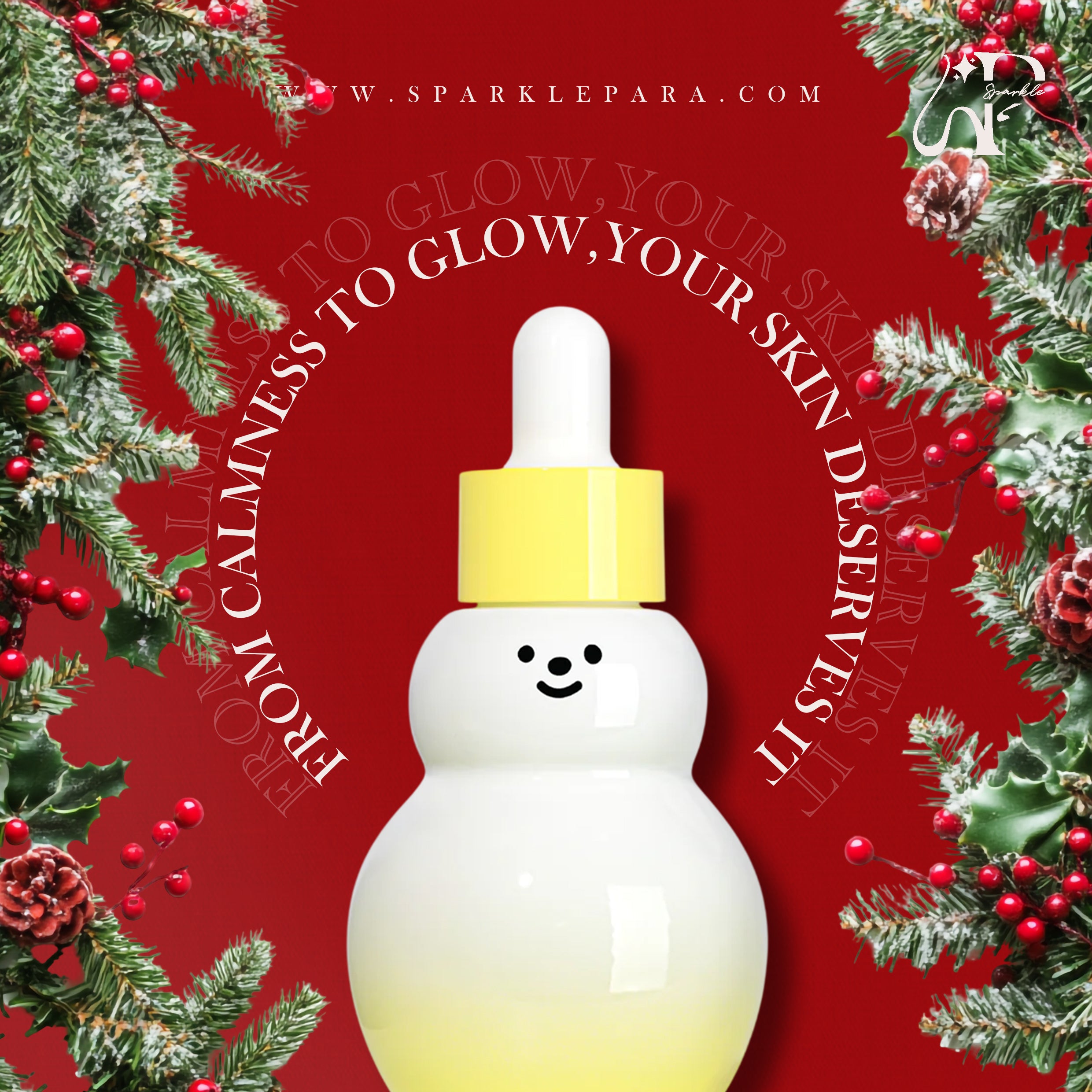 Tiam dark spot serum | Christmas edition package